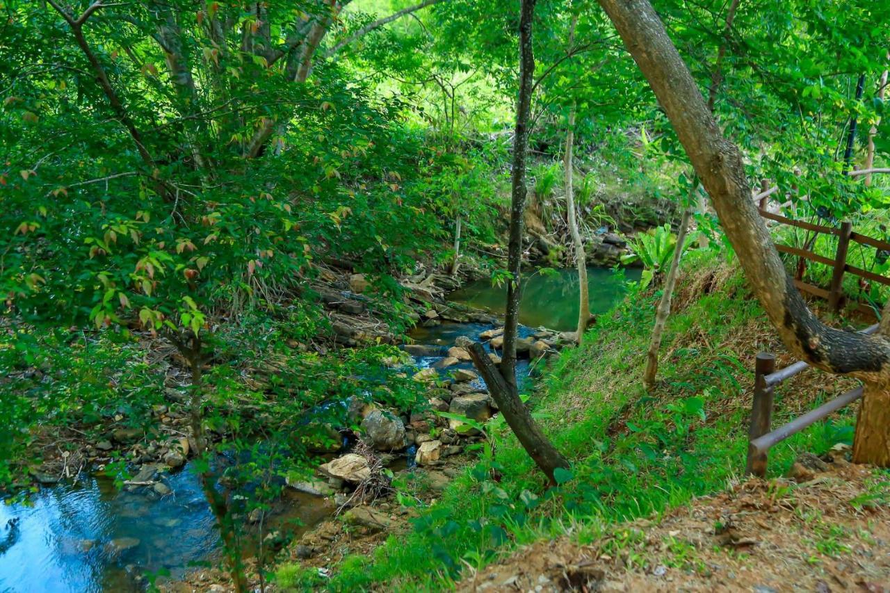 Doola River Edge Udawalawe Exterior foto