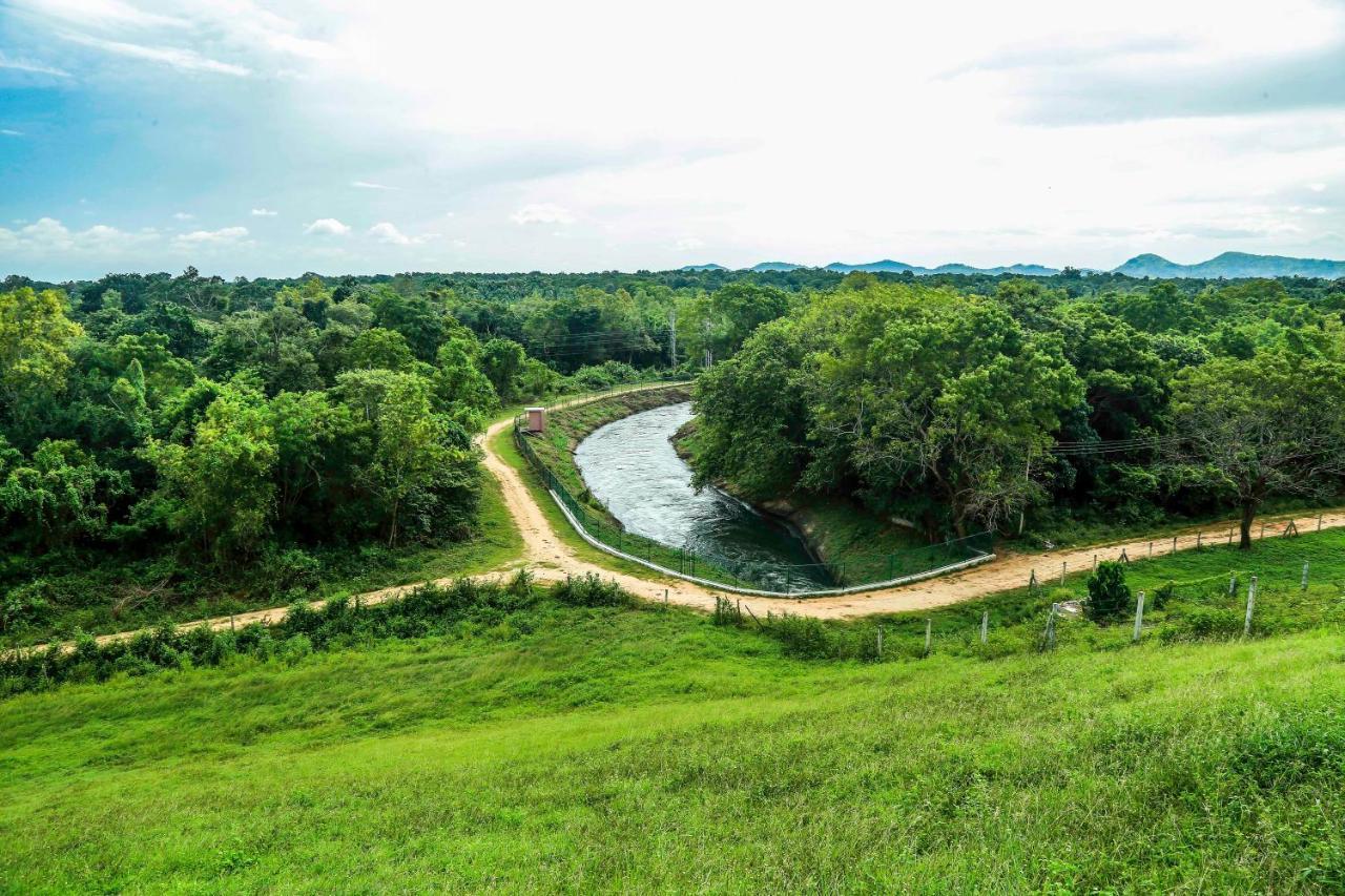 Doola River Edge Udawalawe Exterior foto