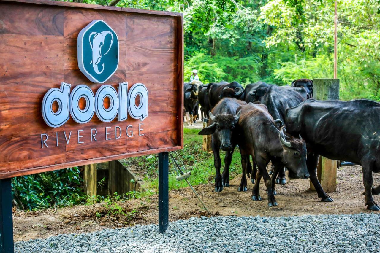 Doola River Edge Udawalawe Exterior foto